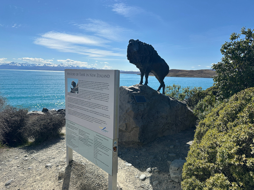 Tahr Sculpture-普卡基必去景点