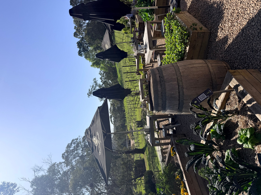 Amour of the Grape Tours-Rosebud必去景点
