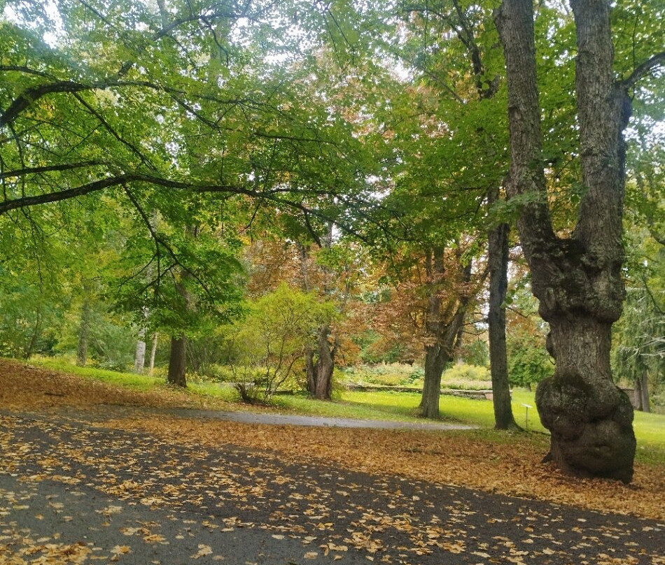 Oru Park-Toila必去景点