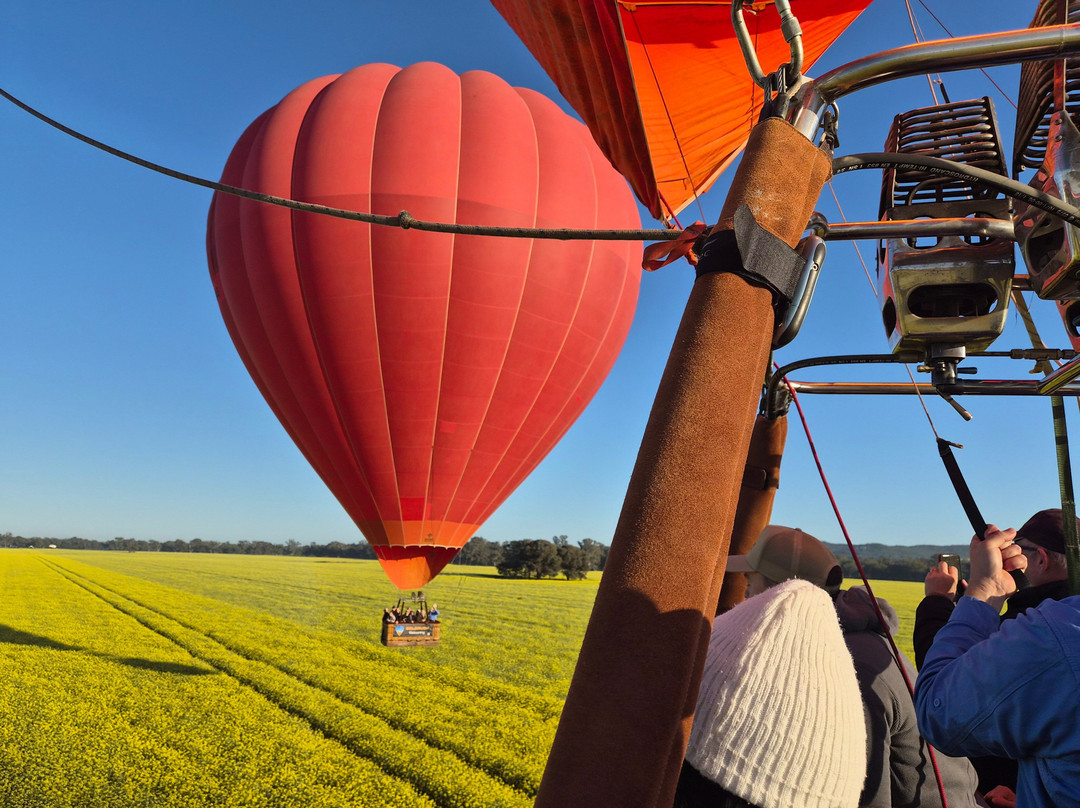 Goldrush Ballooning King Valley-King Valley必去景点