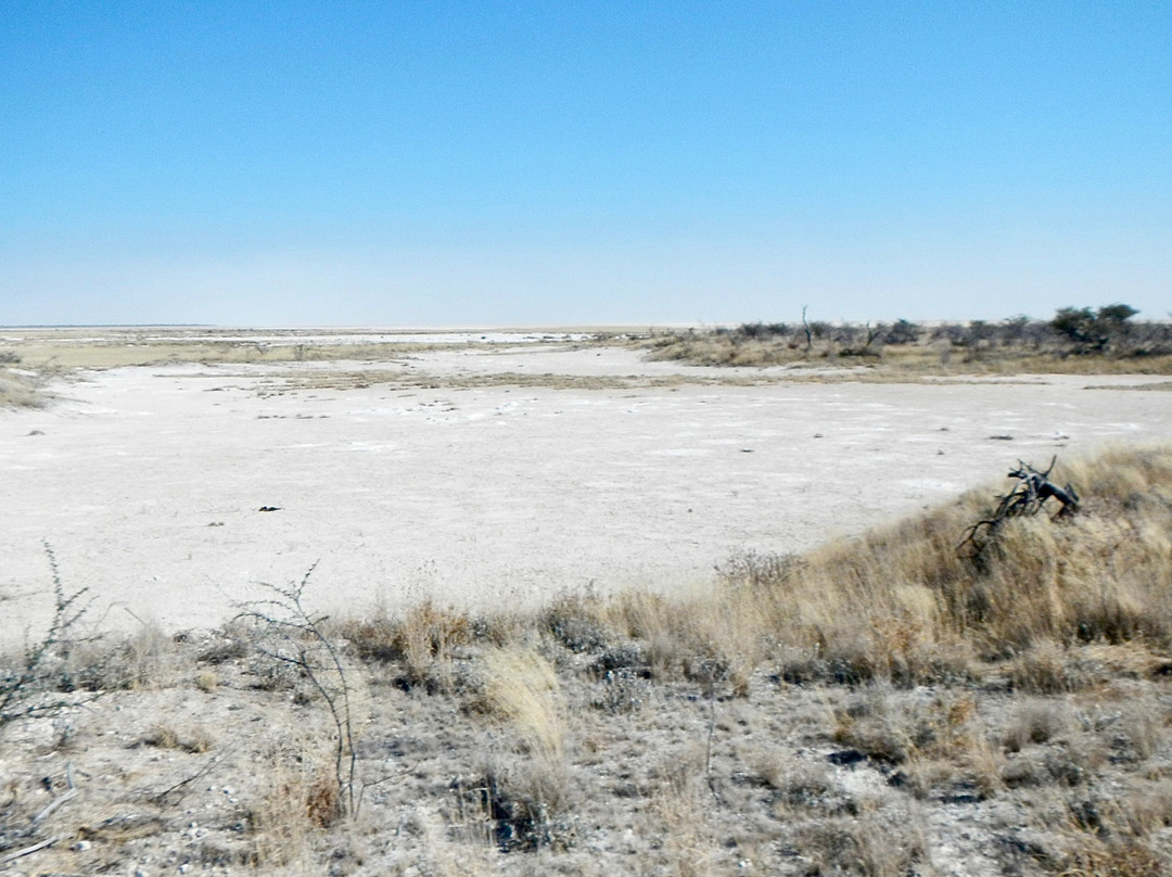 Etosha Pan-纳米比亚埃托沙国家公园必去景点
