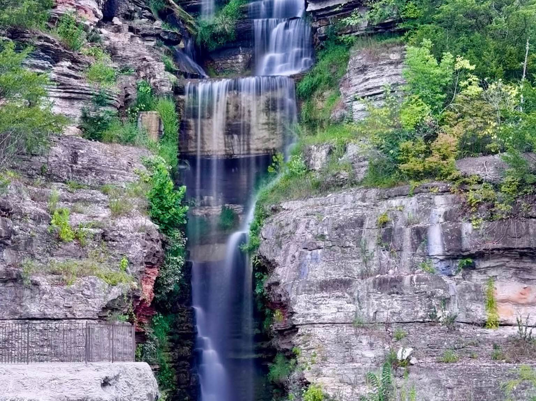 Dogwood Canyon Nature Park-Lampe必去景点