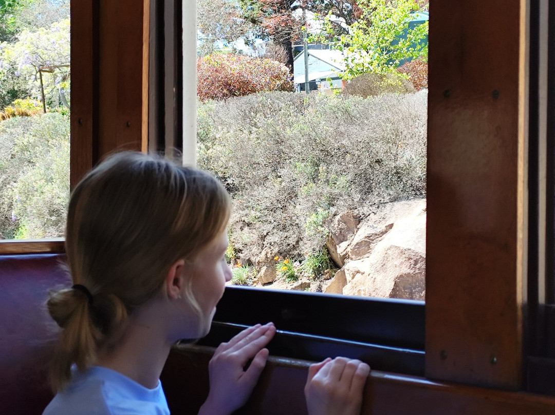 Southern Downs Steam Railway-Warwick必去景点