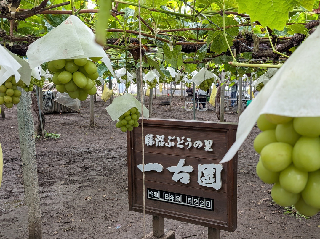 Ichikoen-甲州市必去景点
