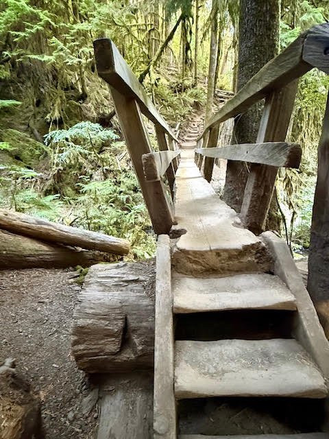 Marymere Falls-安吉利斯港必去景点
