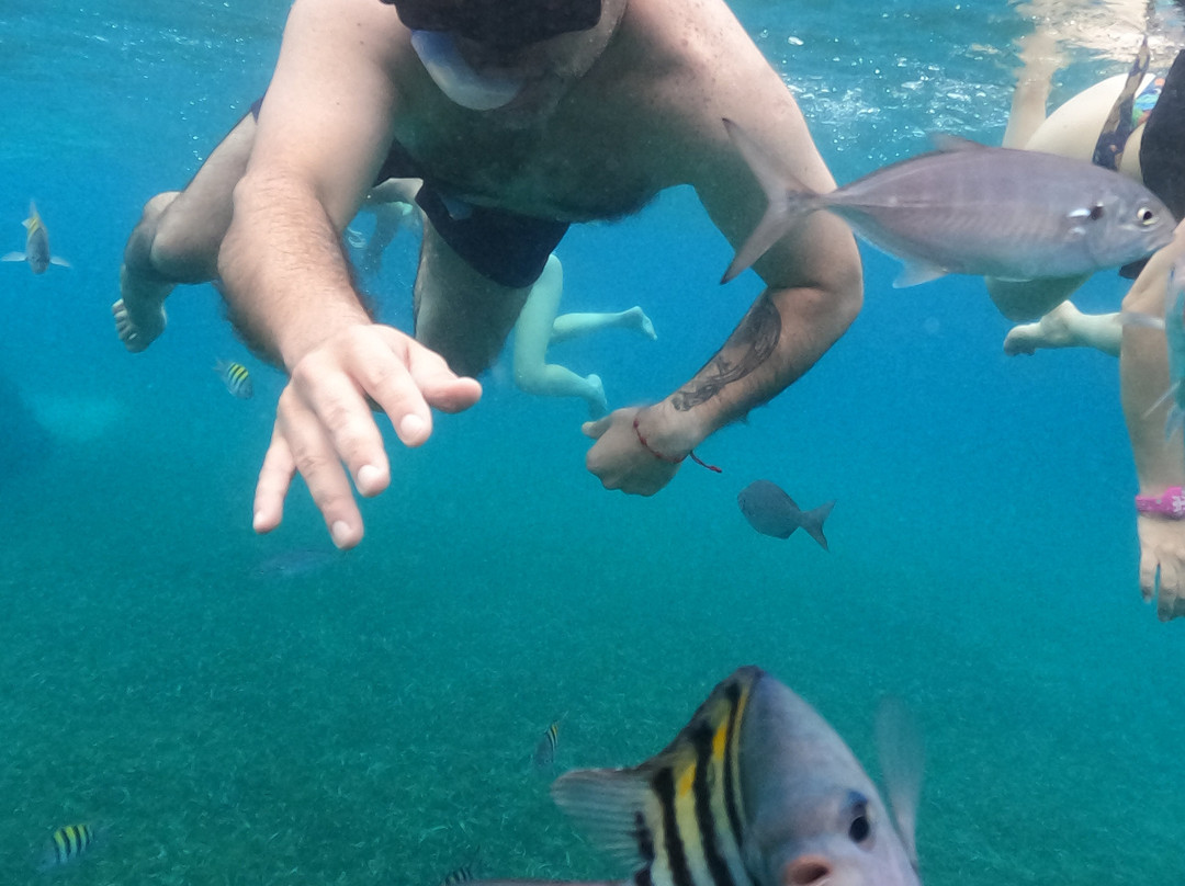 Cozumel Cruise Excursions - Private Tours-考祖梅必去景点