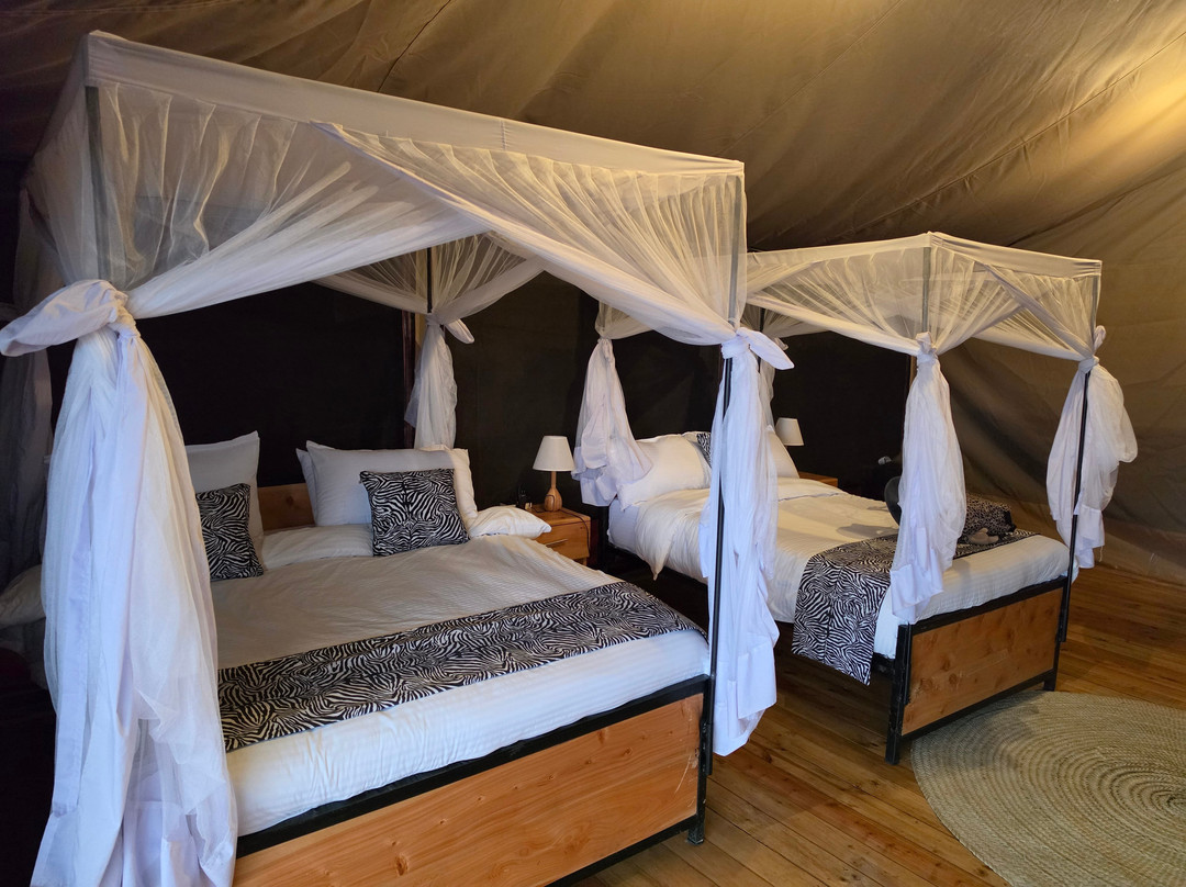 Friends Camps and Lodge-Seronera必去景点