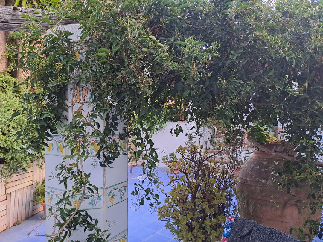 蒂雷若居家酒店主图