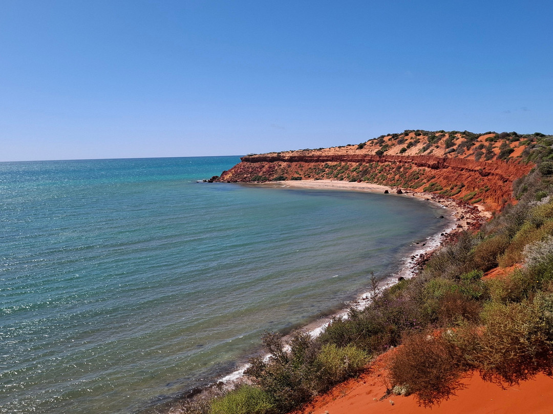 Shark Bay Coastal Tours-德纳姆必去景点