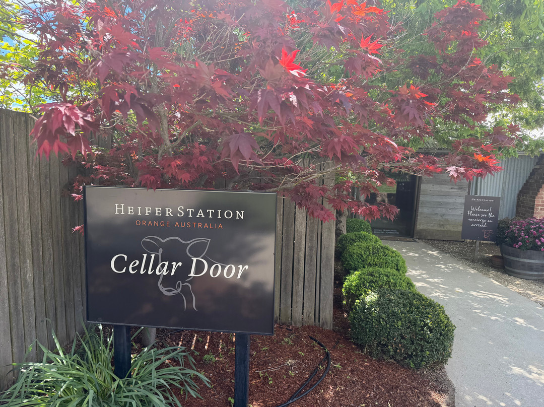 Heifer Station Wines-奥兰治必去景点