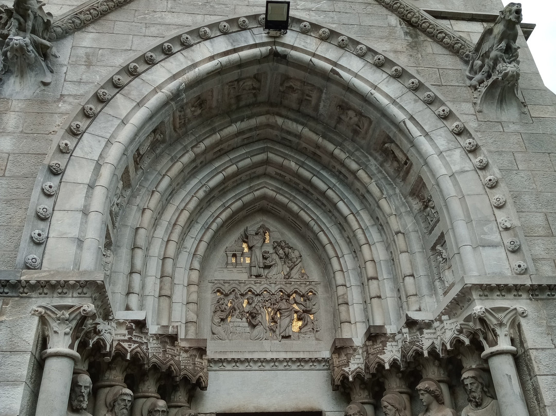 St Fin Barre's Cathedral-科克必去景点
