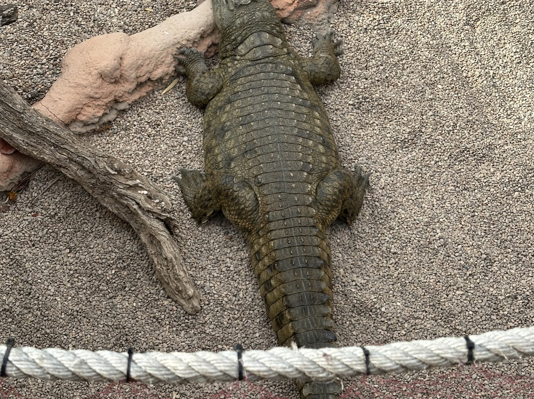 Rancho Texas Lanzarote Park-卡门港必去景点