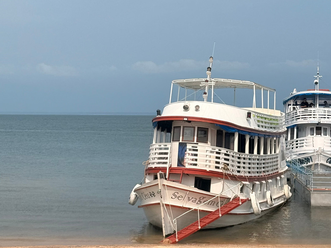 Selvagem Tours-Alter do Chao必去景点