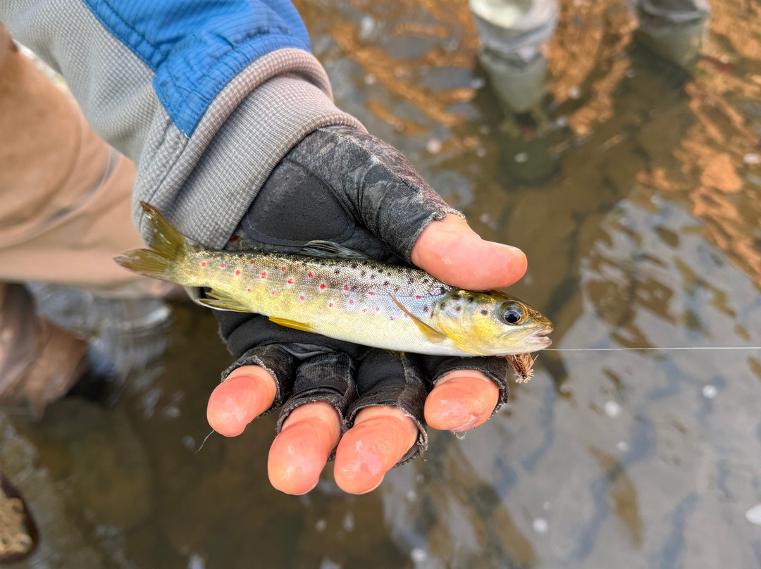 Sedona Fly Fishing Adventures-塞多纳必去景点