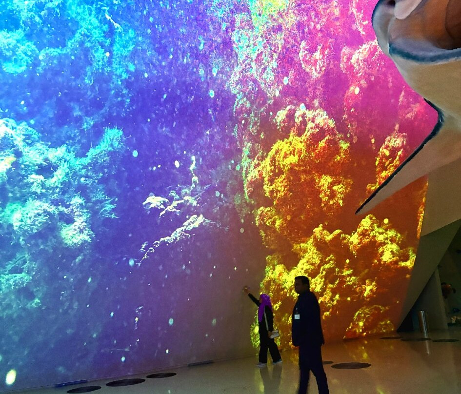 National Museum of Qatar-多哈必去景点
