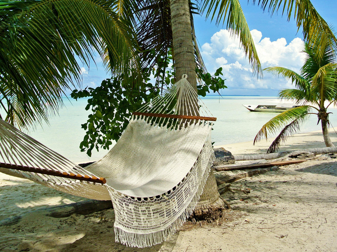 Pulau Kakaban旅游攻略图片
