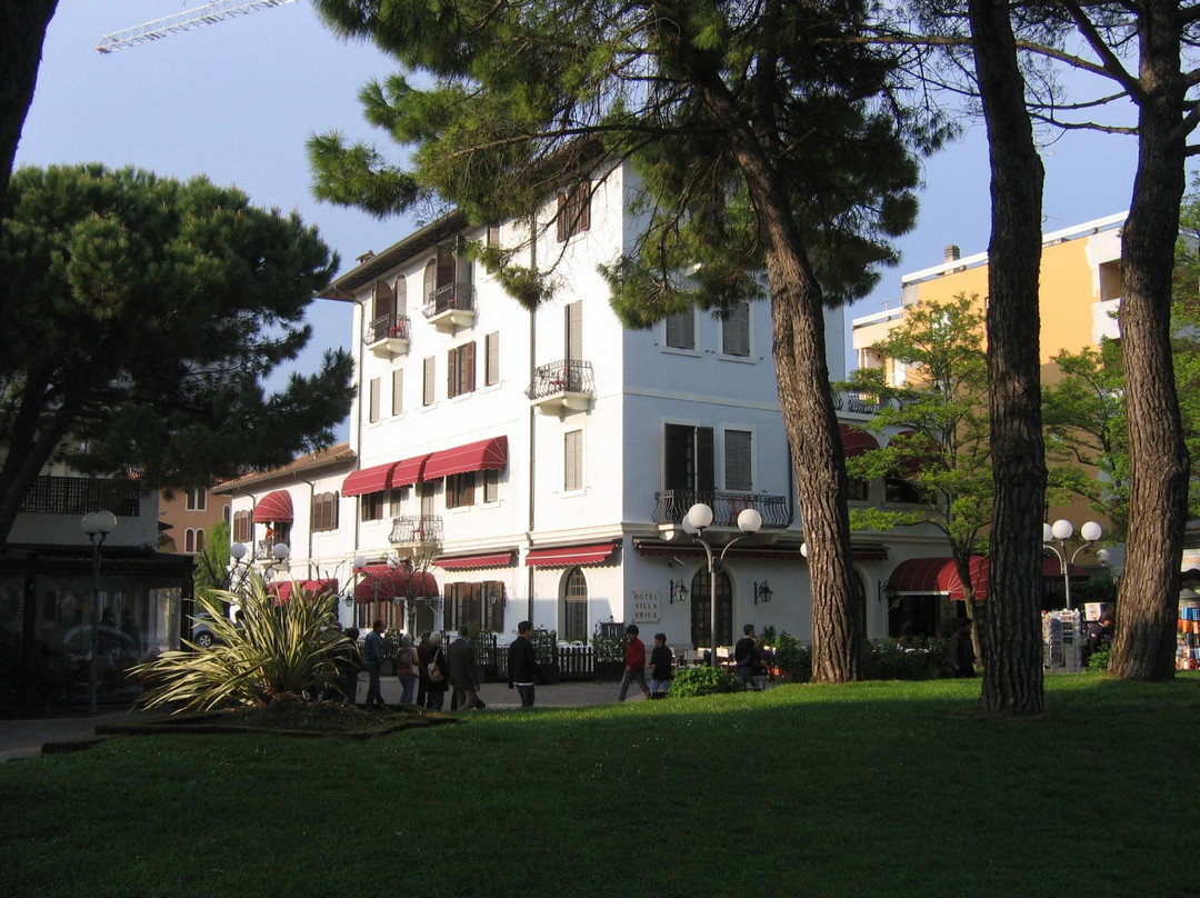 Hotel Villa Erica