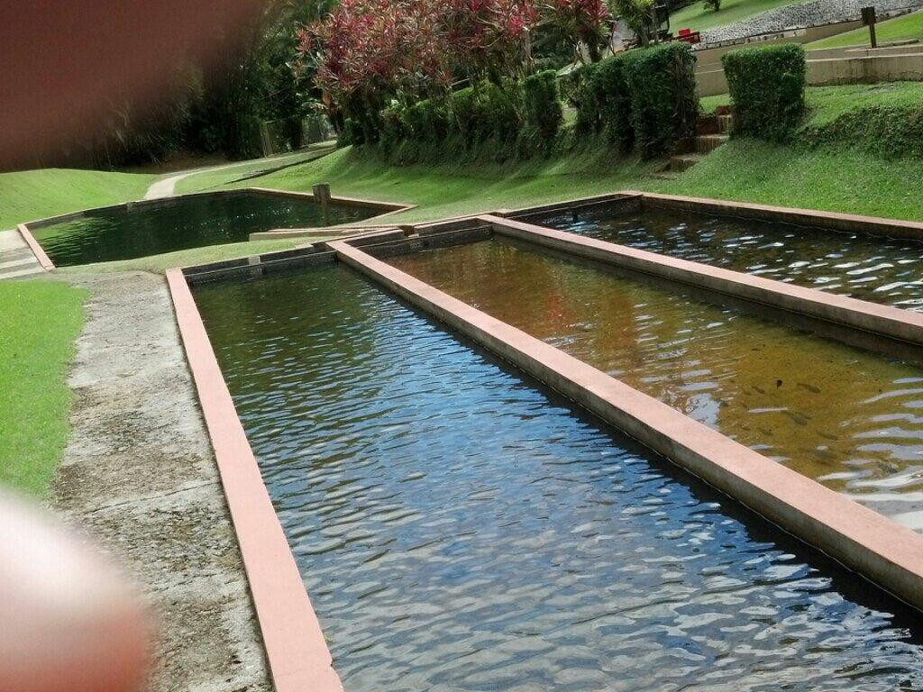 Vivero de Peces de Maricao景点图片