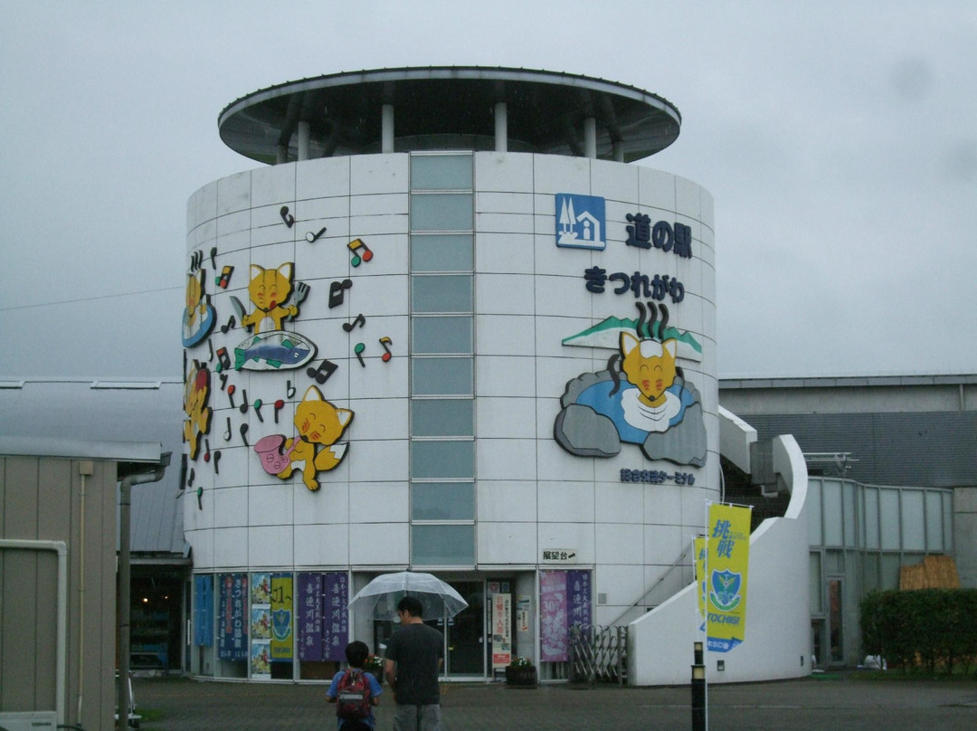 Kitsuregawa Michi-no-Eki-樱市必去景点