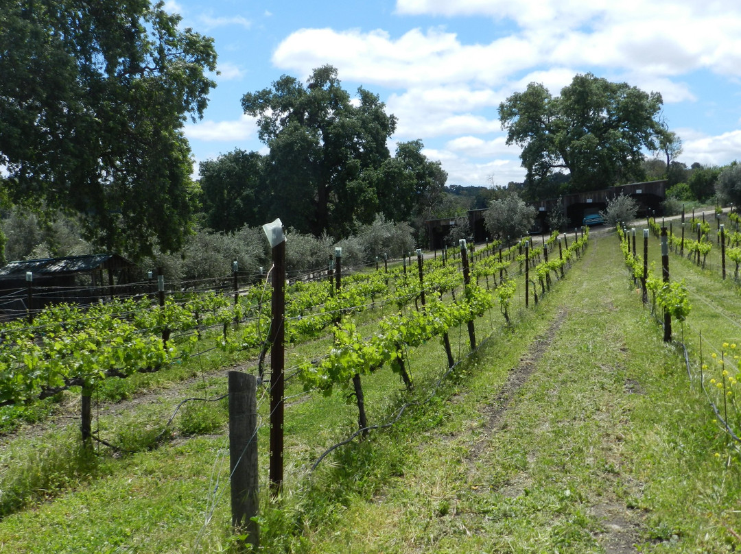 Dubost Ranch Winery景点图片