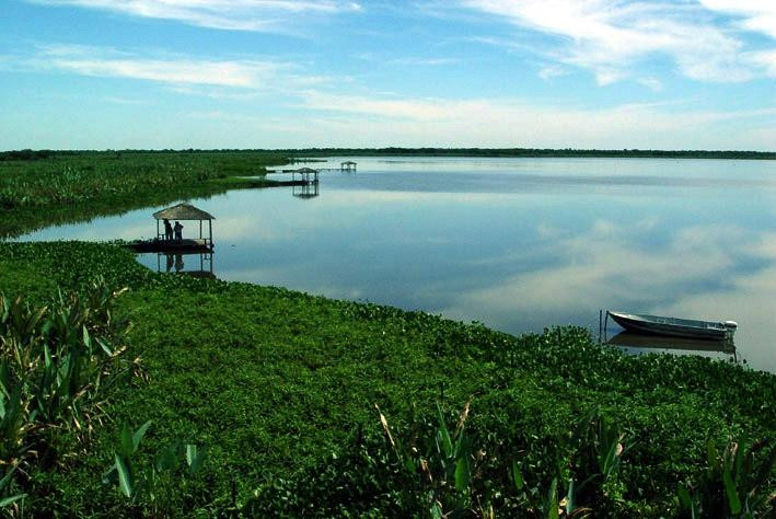 Parque Nacional Río Pilcomayo景点图片