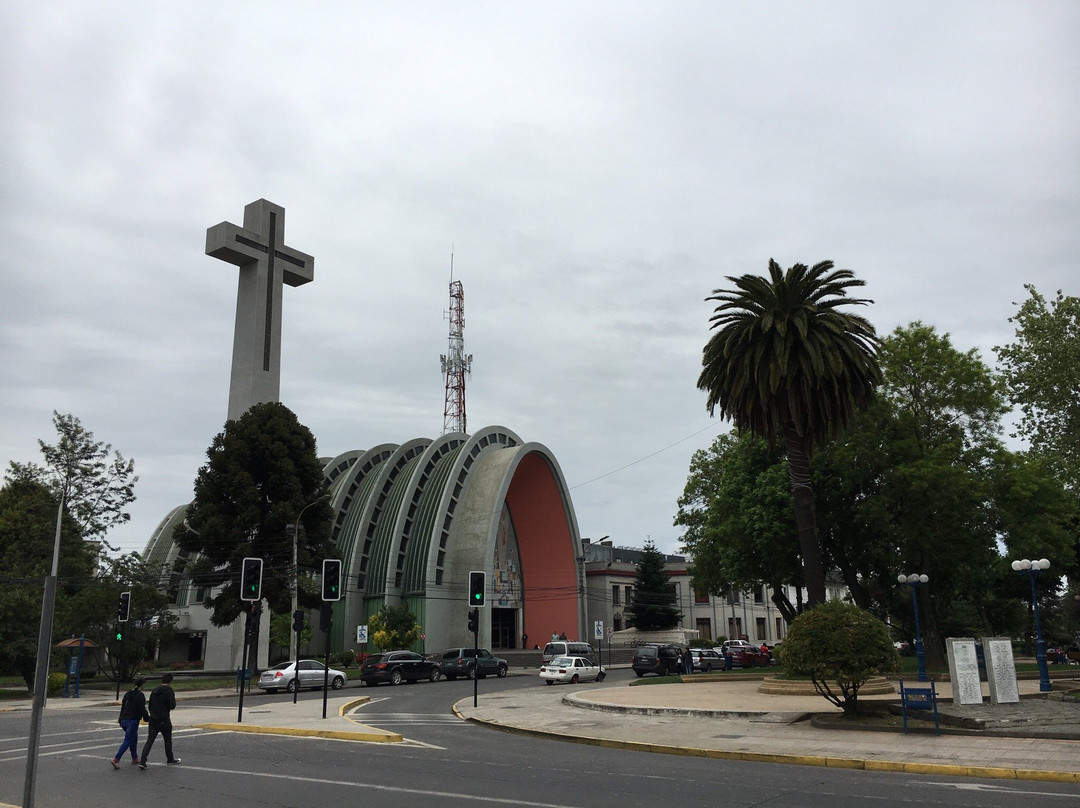 Catedral de Chillán景点图片