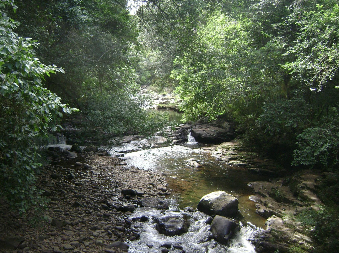 Panelão de São Roque景点图片
