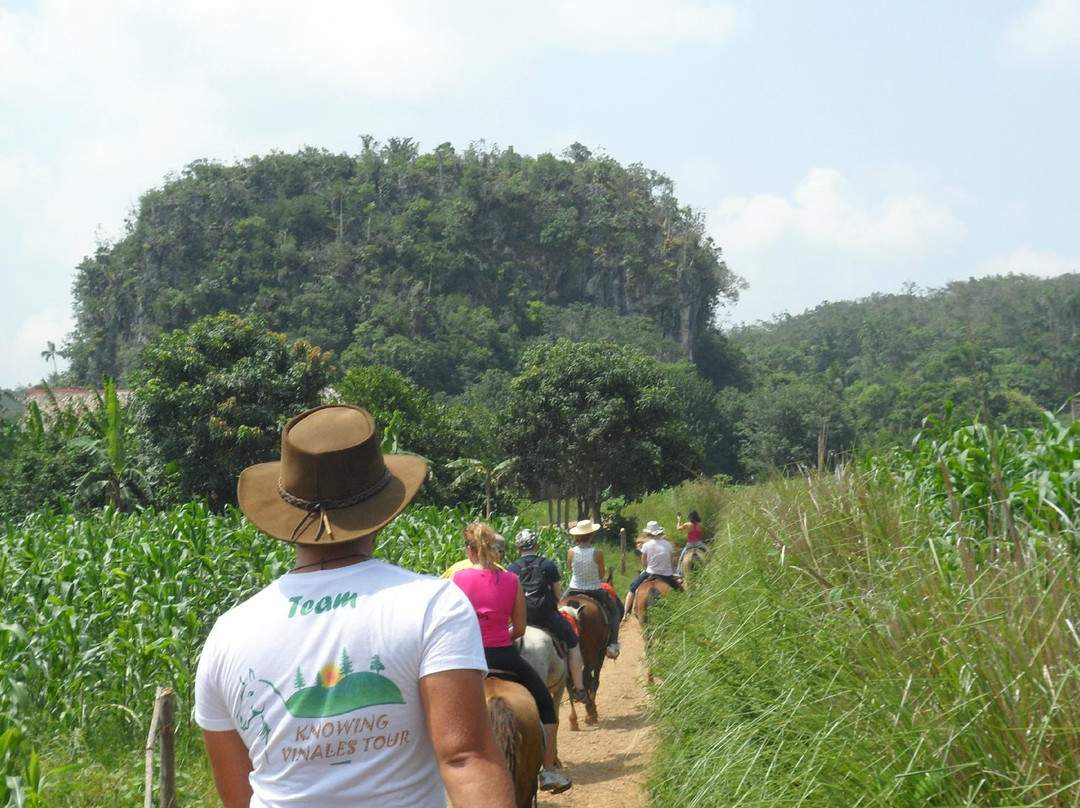 Knowing Vinales Tour-维纳勒斯必去景点