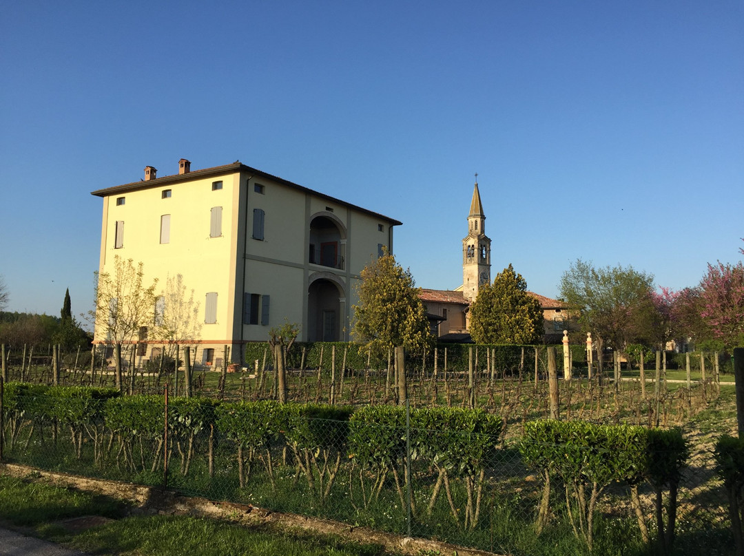 Tomasetti Family Winery景点图片