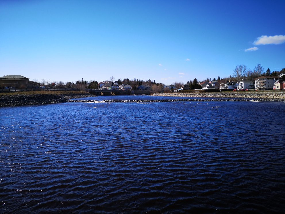 Passerelle Du Centenaire