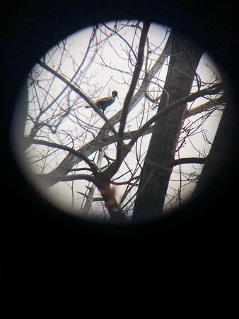 Silverwood Park-Saint Anthony必去景点