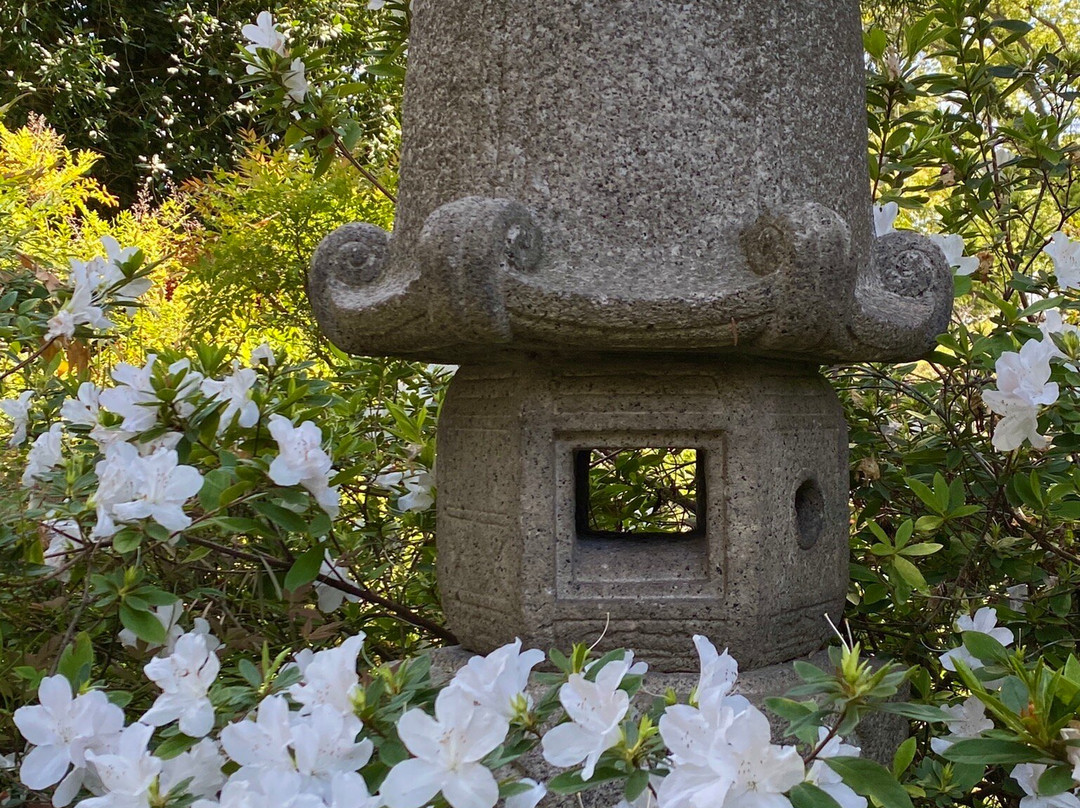 Huntington Japanese Garden-圣玛利诺必去景点