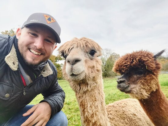 Alpacaly Ever After景点图片