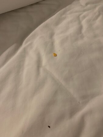 avid Hotel Fort Mill - Carowinds Blvd by IHG主图