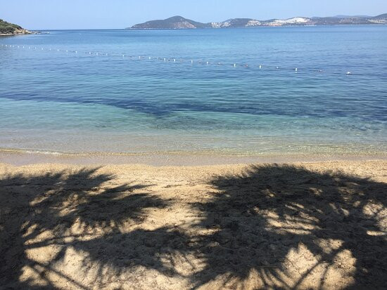 Oba Beach & Restaurant景点图片