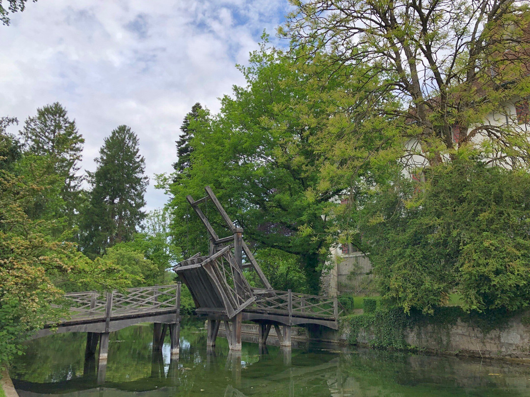 Schloss Landshut