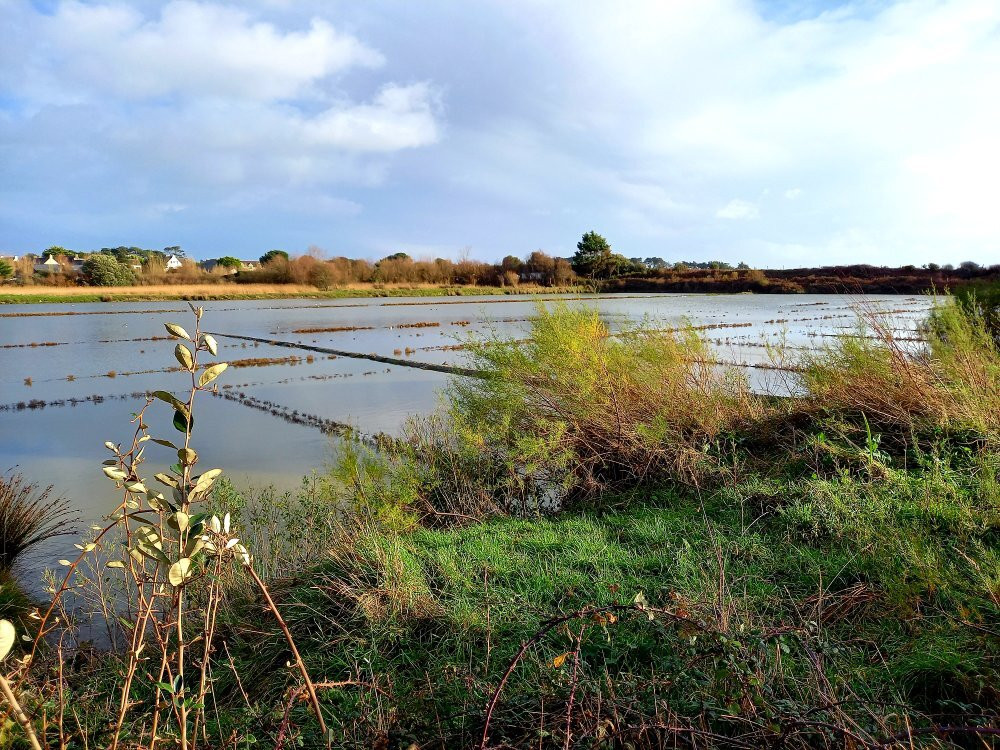 Marais Salants de Kervillen-La Trinite-sur-Mer必去景点