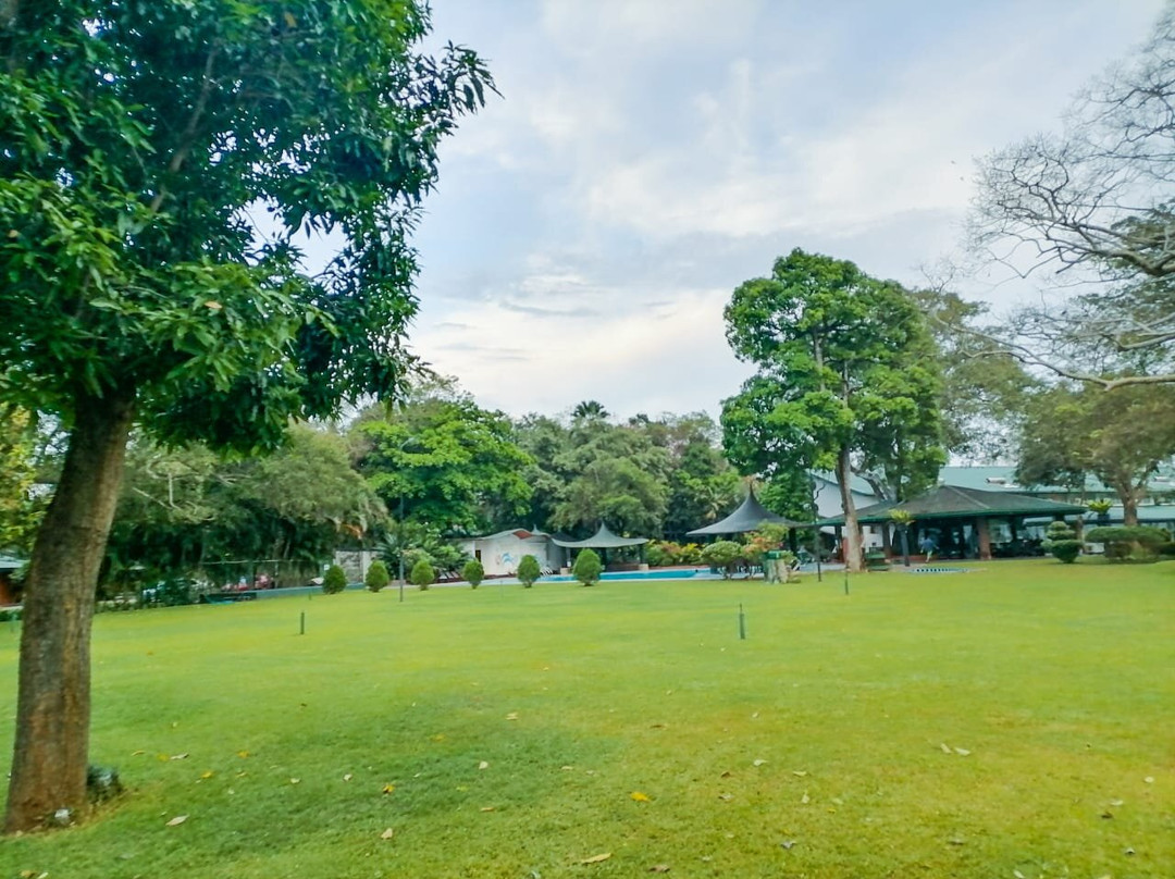 苏度阿拉利亚酒店主图