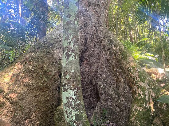 Odyssey Bound-道格拉斯港必去景点