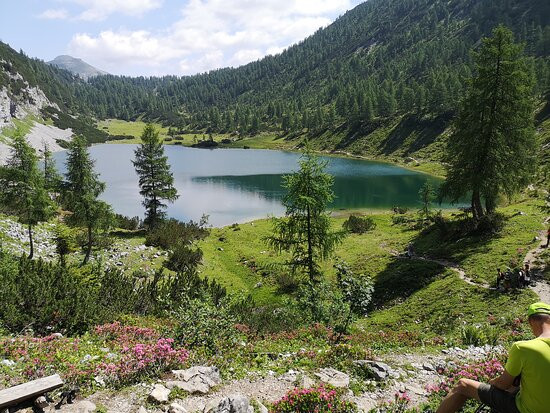 Hotel Schwaiger主图