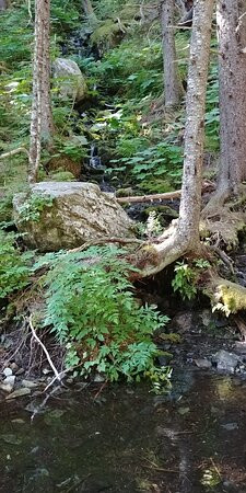 Two Lakes Park-苏厄德必去景点