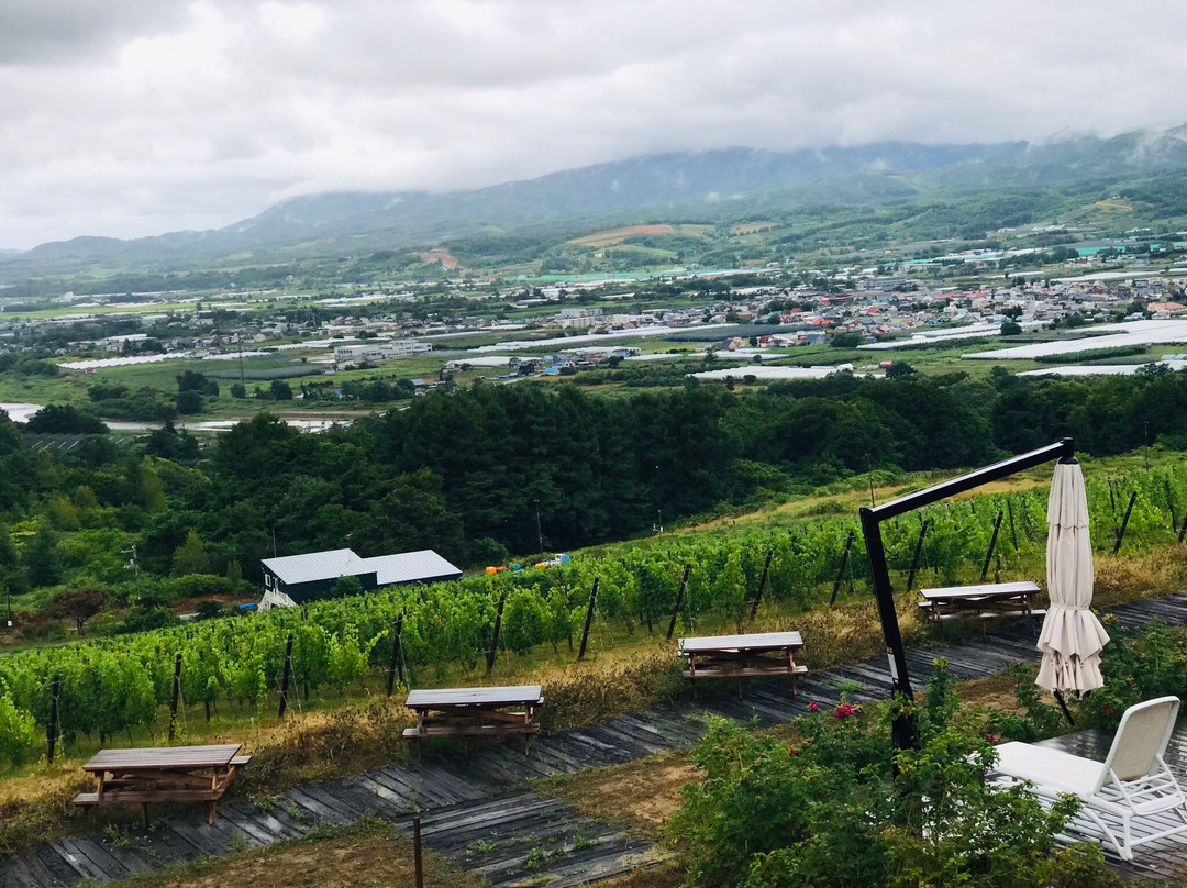 NIKI Hills Winery-仁木町必去景点