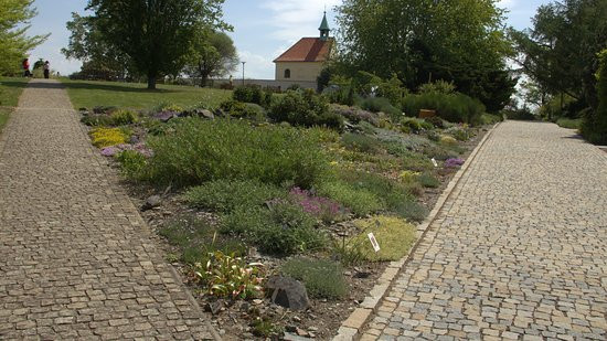 Prague Botanical Garden景点图片