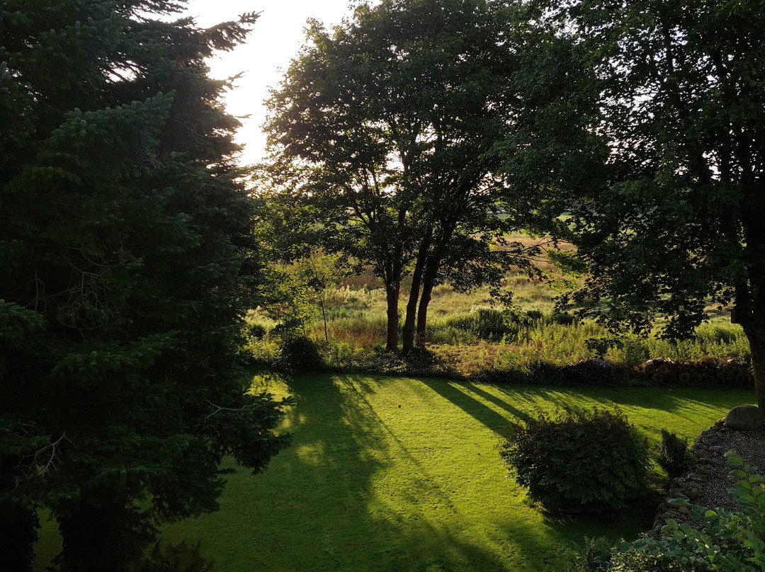 B&B Soendergaard