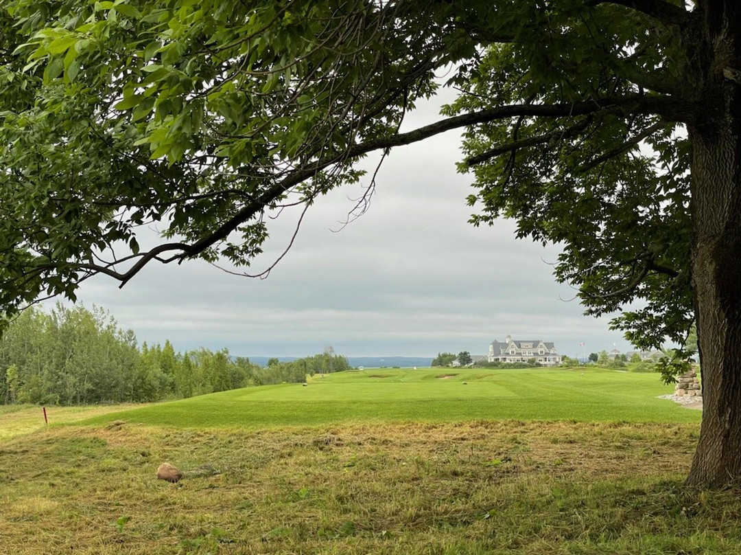 Cobble Beach Golf Links景点图片