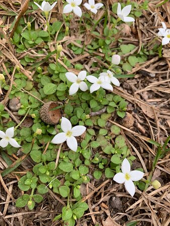 Melon Bluff Nature Center-Sunbury必去景点