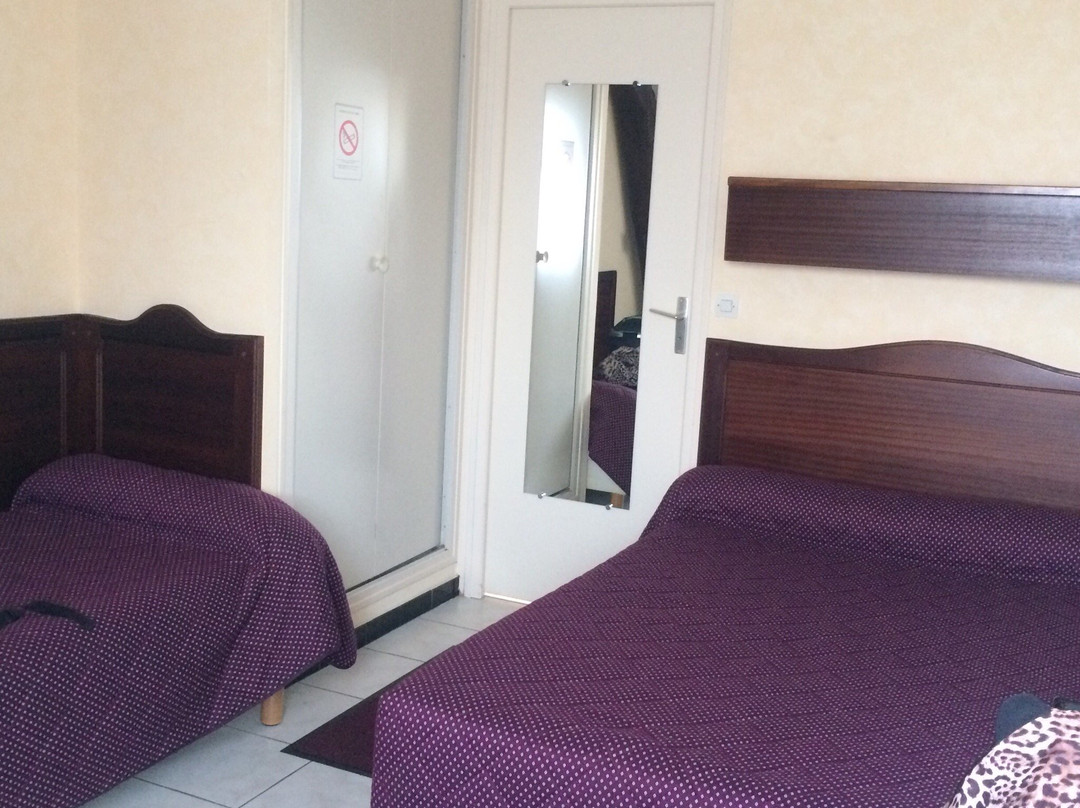Logis Hôtel Sully le Château主图
