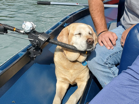 Alaska Slammin Salmon Charters-基奈必去景点