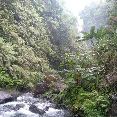 Candikuning Waterfall景点图片