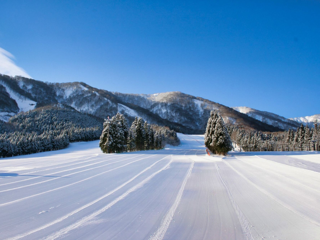 Onikobe Ski Resort景点图片